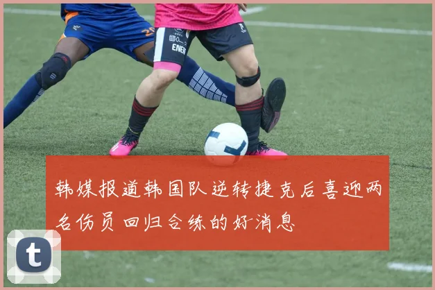 韩媒报道韩国队逆转捷克后喜迎两名伤员回归合练的好消息